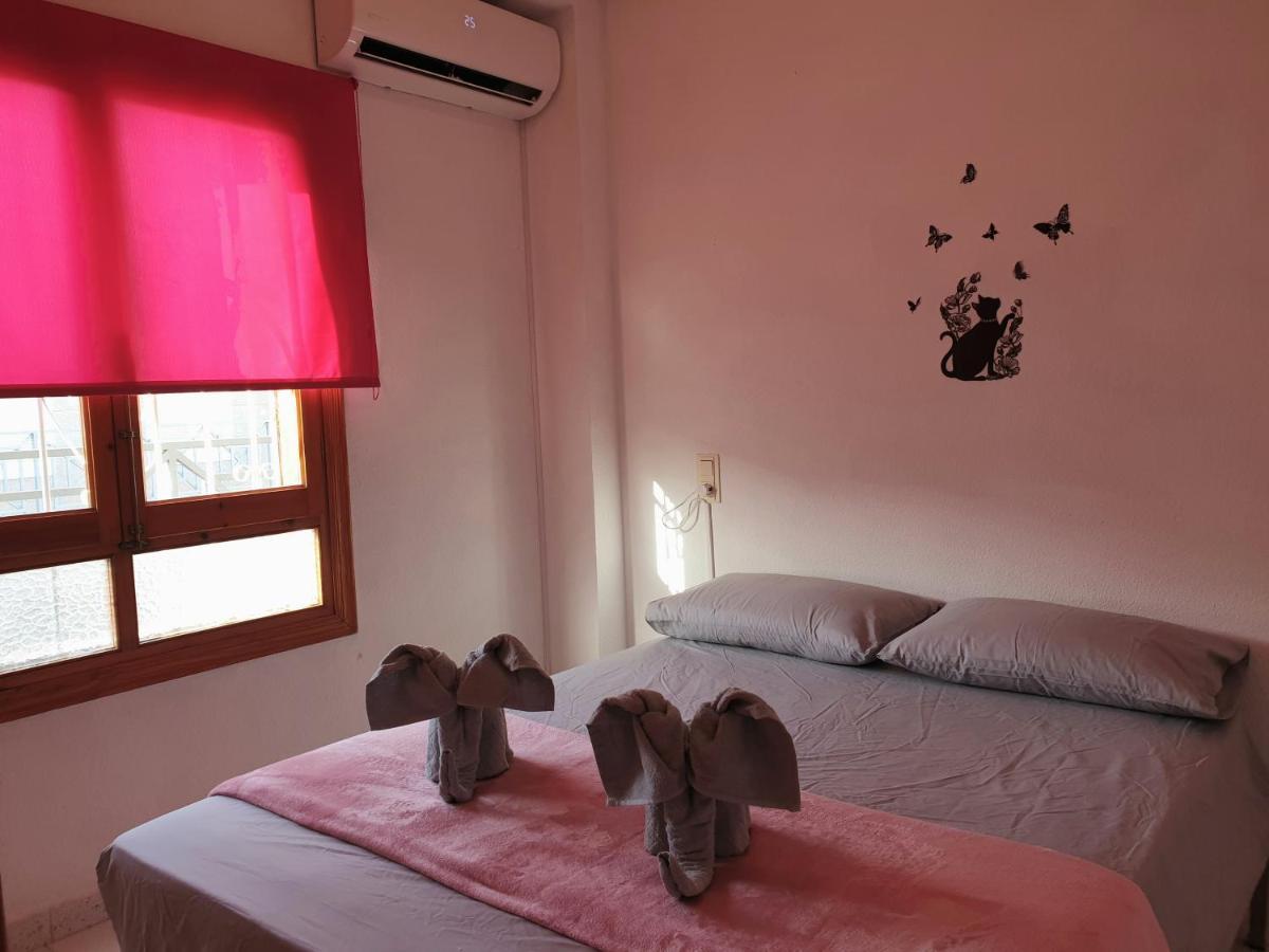 Penthouse Residencial Virginia Apartman Torrevieja Kültér fotó